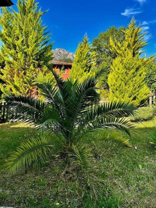 La Coqueta Del Sueve Villa Arriondas Exteriör bild