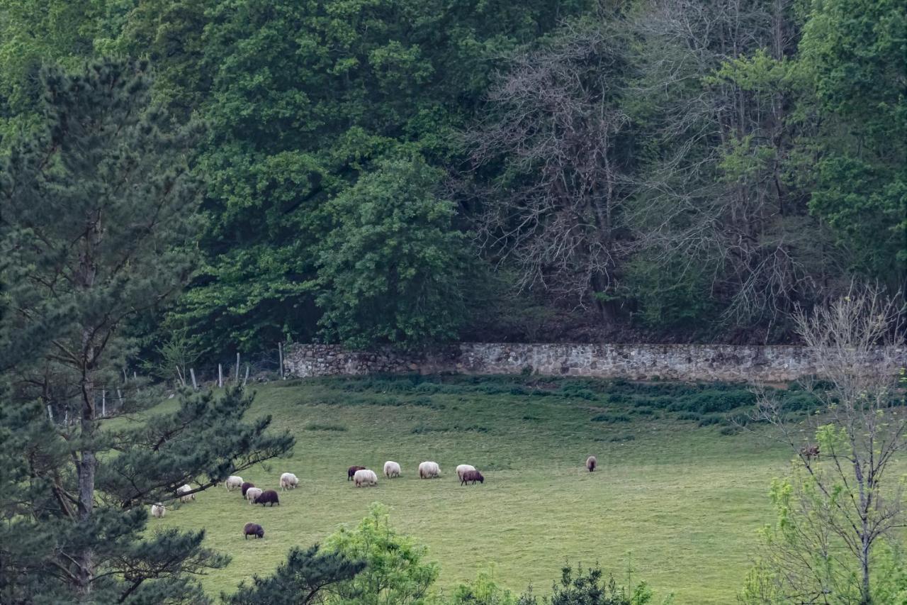 La Coqueta Del Sueve Villa Arriondas Exteriör bild